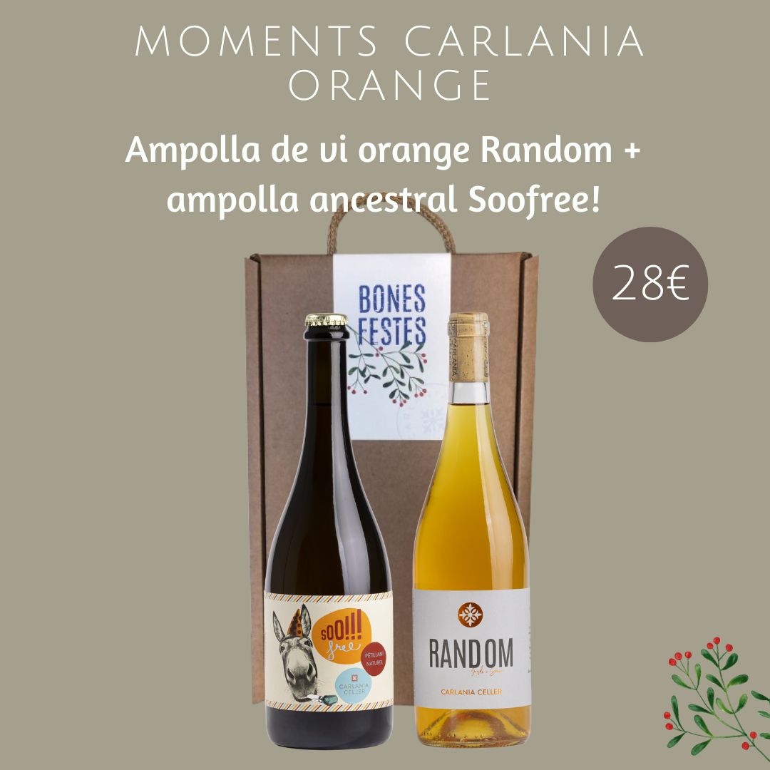 Lot Moments Carlania Orange